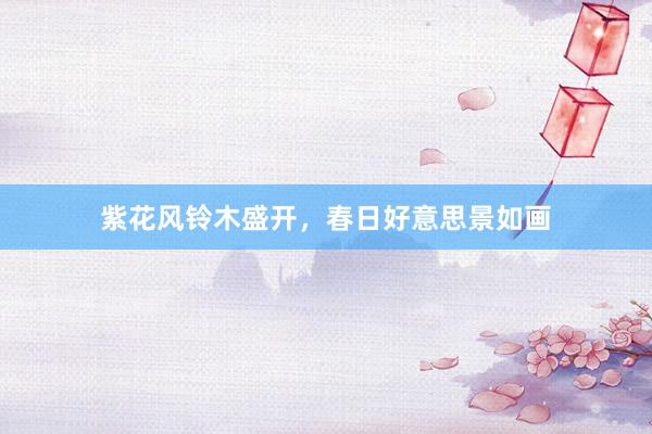 紫花风铃木盛开，春日好意思景如画
