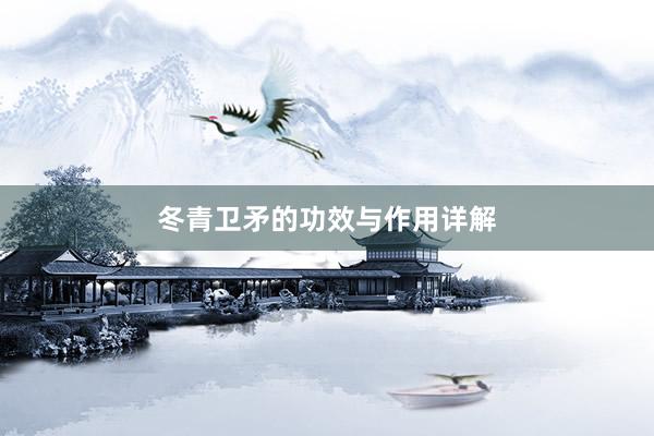冬青卫矛的功效与作用详解