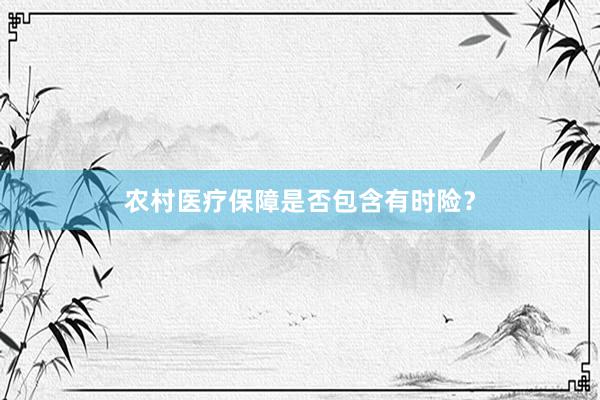 农村医疗保障是否包含有时险？
