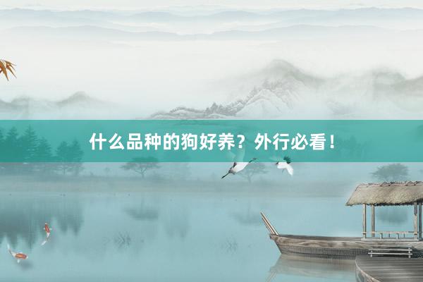 什么品种的狗好养？外行必看！